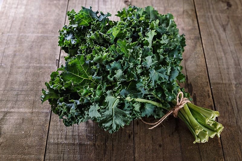 Kale Hydroponic plant