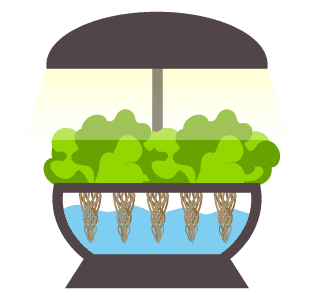 Hydroponic System