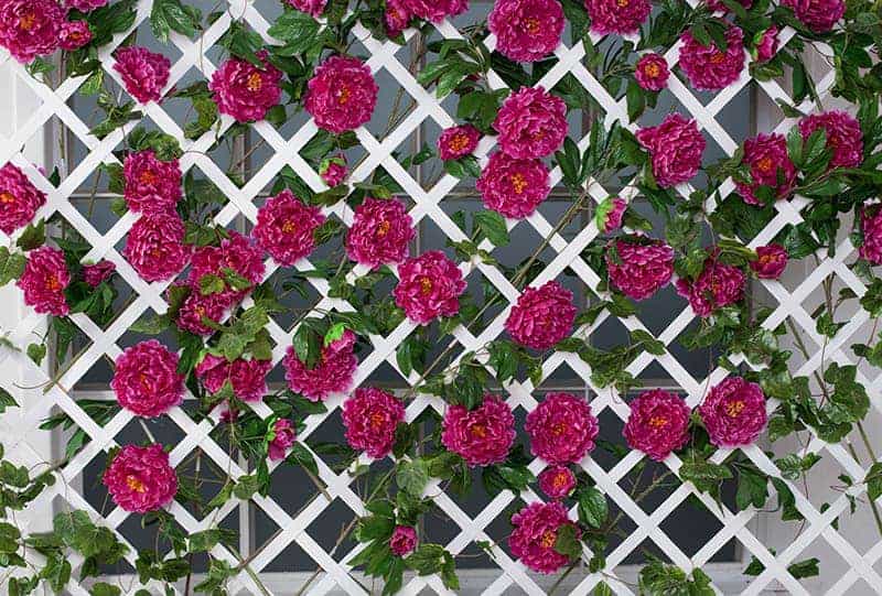 17 Lattice Fence Ideas For Inspiration