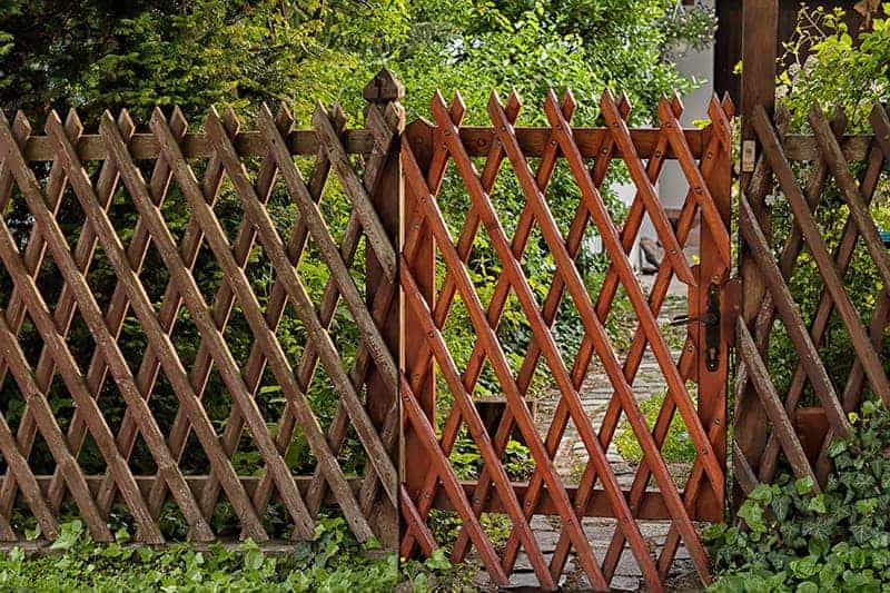 17 Lattice Fence Ideas For Inspiration, Wooden Trellis Fence Designs