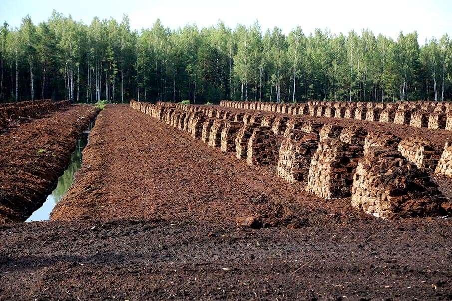 Mining Peat Moss