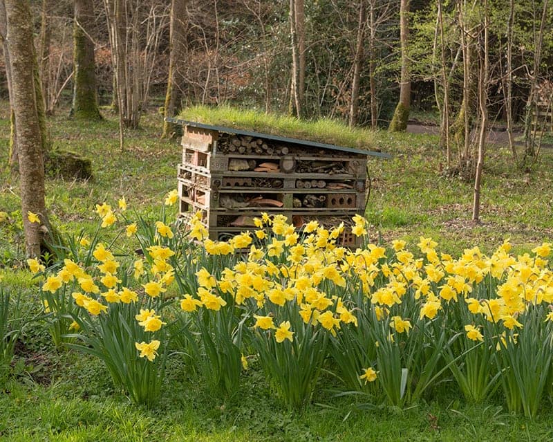 Pallet Bug Hotel