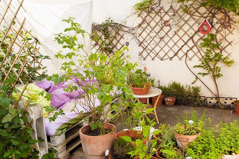 Simple Pallet Herb Garden Sofa