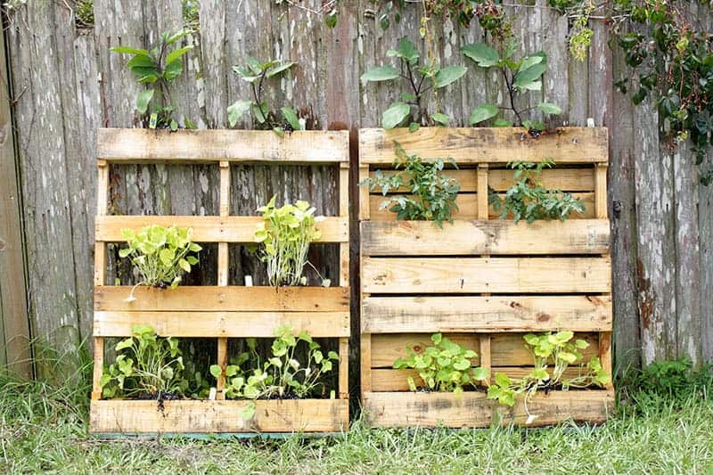 Vertical Lean On Planting Boxes