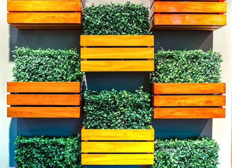 Vivid Vertical Planting Boxes