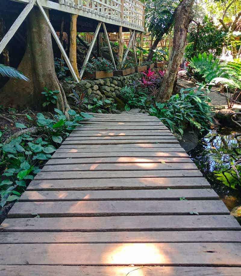 Wooden Pallet Walkway