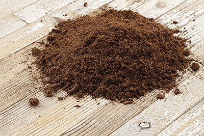 What is Peat Moss? What is it used for?