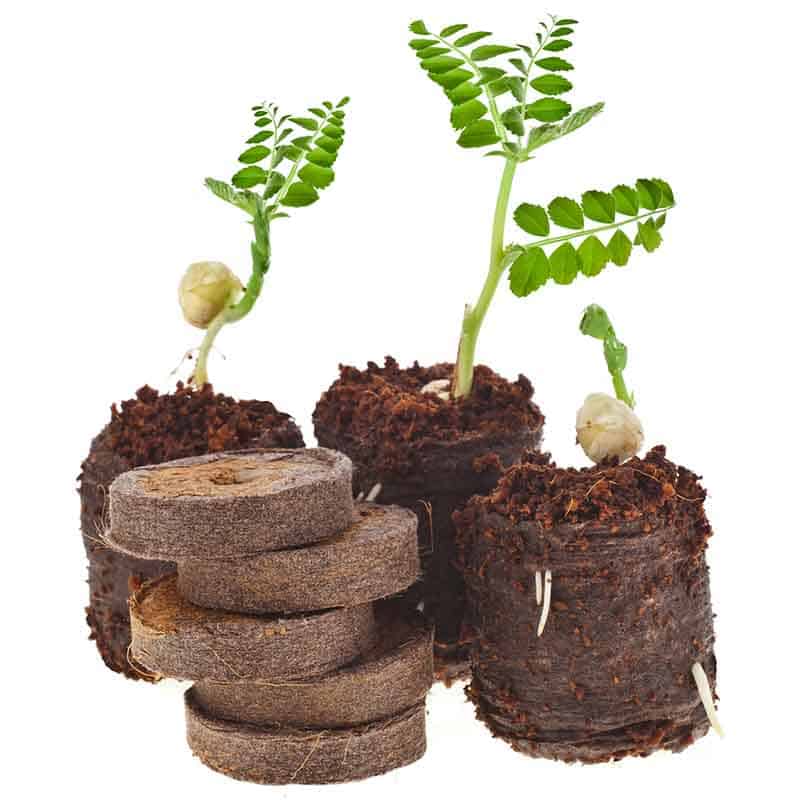 What Is Peat Moss? Uses in Gardens and Potted Plants