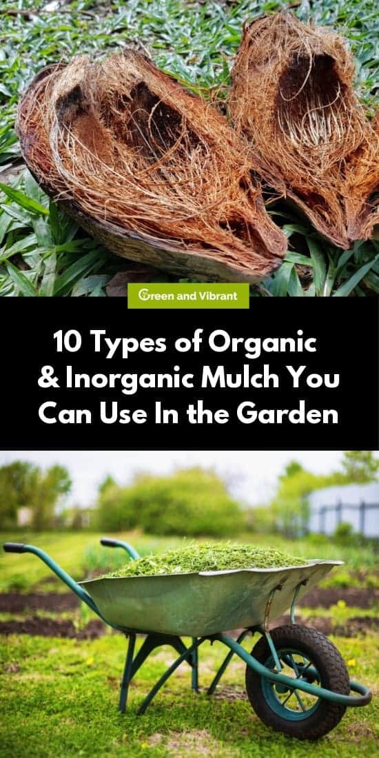 10 Types of Organic & Inorganic Mulch You Can Use In the Garden