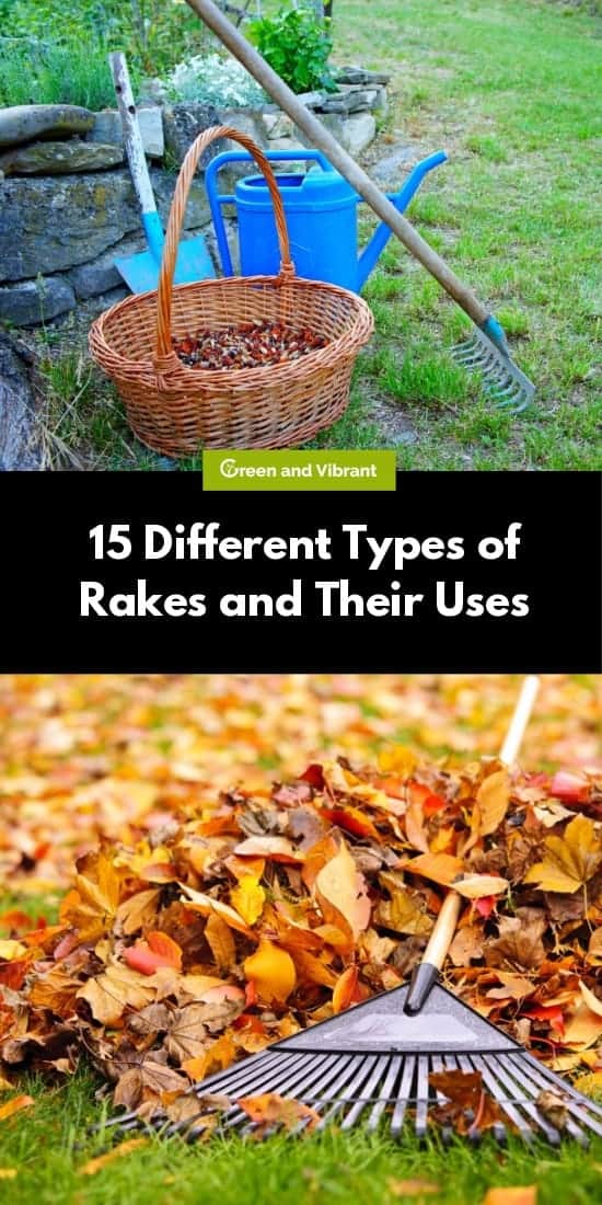 15 Different Types of Rakes and Their Uses