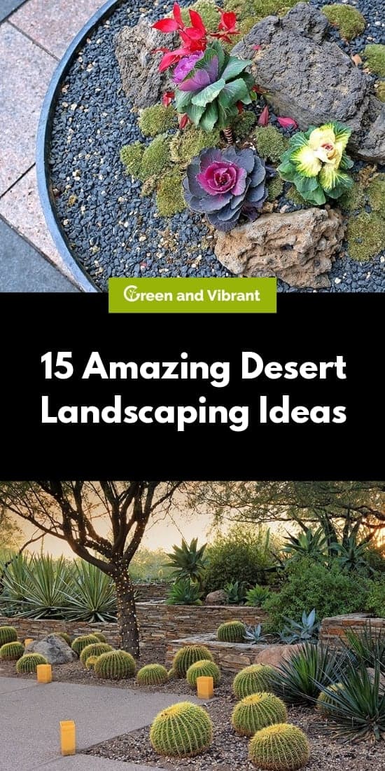 15 Amazing Desert Landscaping Ideas