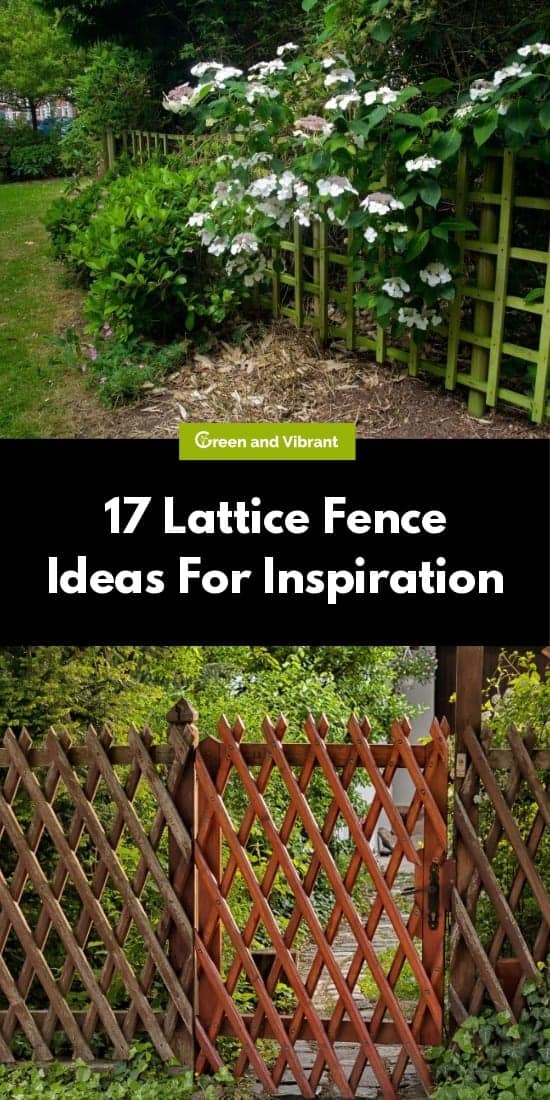 17 Lattice Fence Ideas For Inspiration