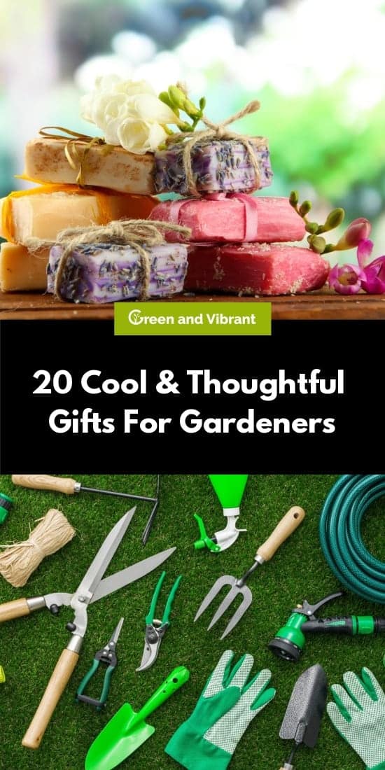 20 Cool & Thoughtful Gifts For Gardeners