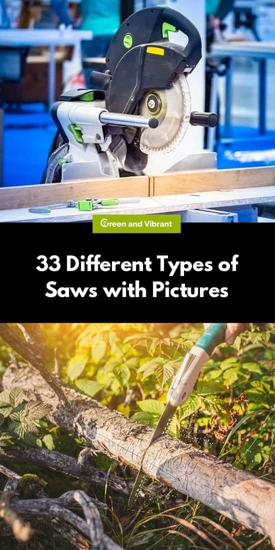 33 Different Types of Saws with Pictures