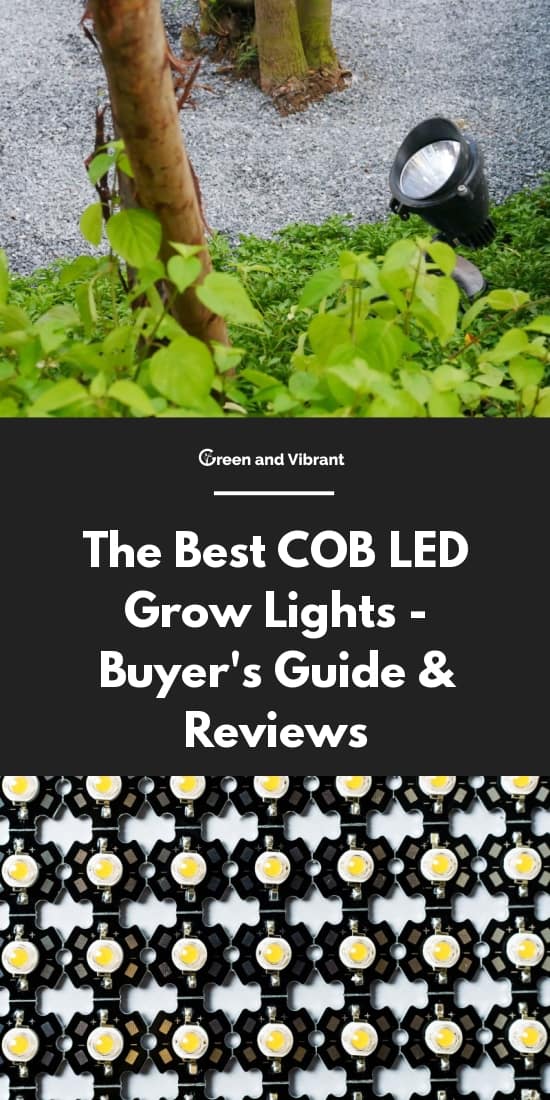 The Best COB LED Grow Lights - Buyer's Guide & Reviews