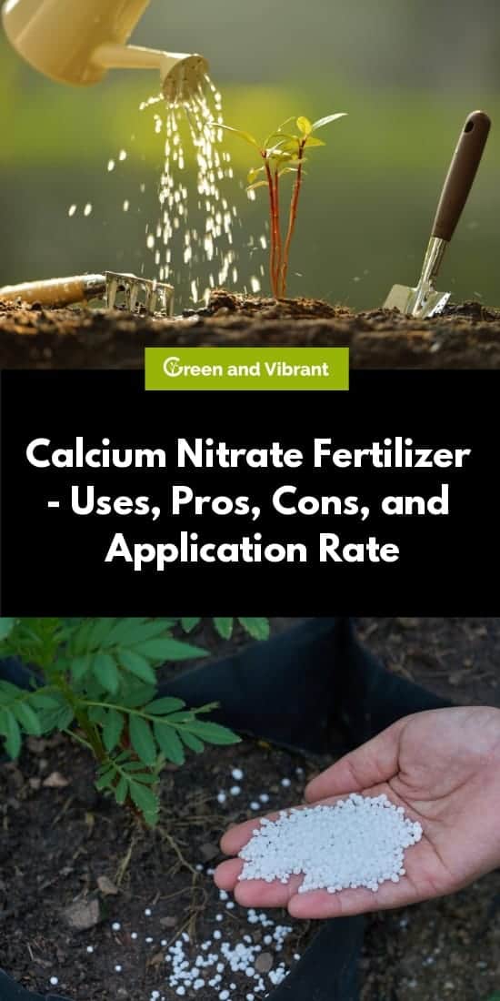 Calcium Nitrate Fertilizer - Uses, Pros, Cons, and Application Rate