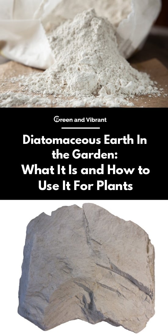 Diatomaceous Earth In the Garden: What It Is and How to Use It For Plants