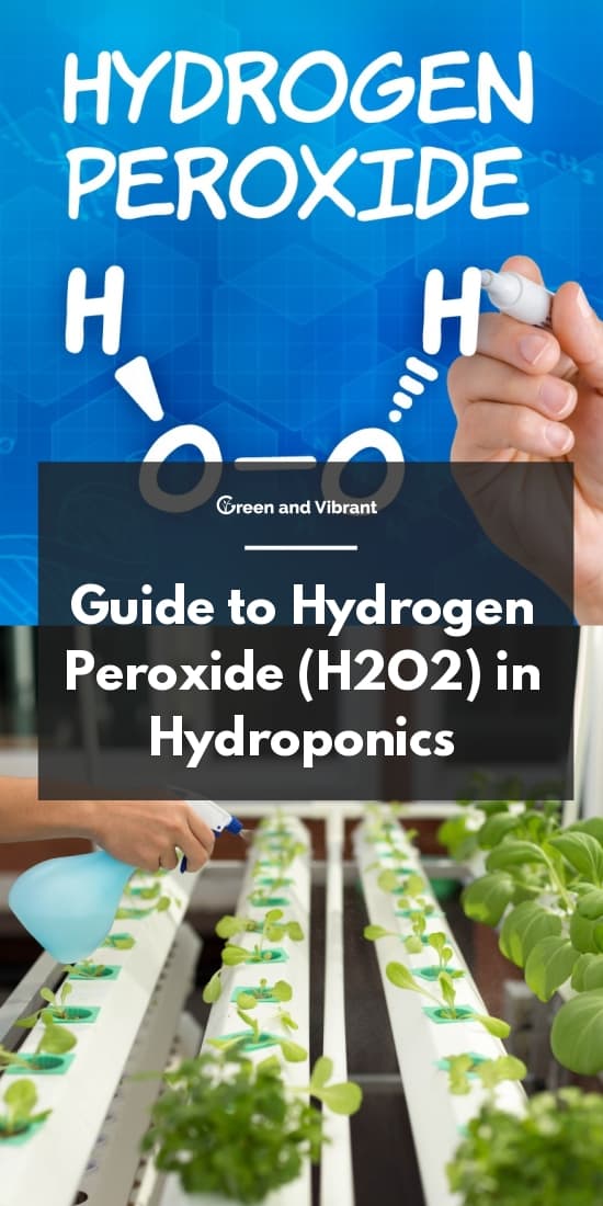 Guide to Hydrogen Peroxide (H2O2) in Hydroponics