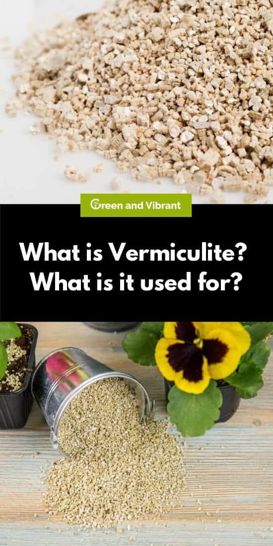 What is Vermiculite? What is it used for?