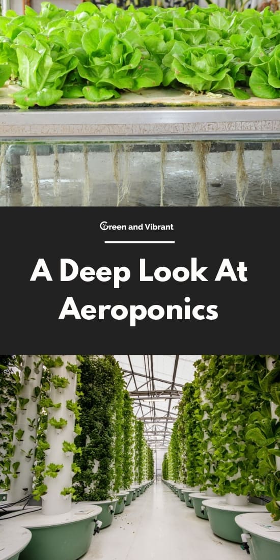 A Deep Look At Aeroponics