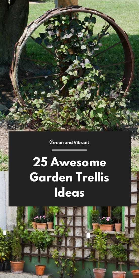 25 Awesome Garden Trellis Ideas | Trees.com