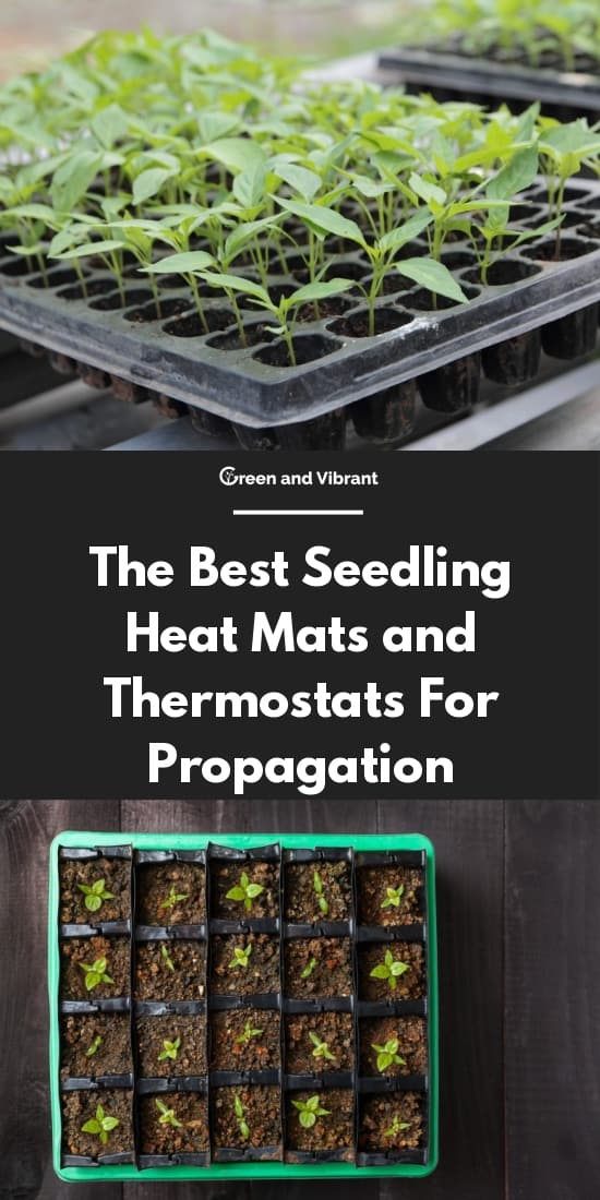 The Best Seedling Heat Mats and Thermostats For Propagation