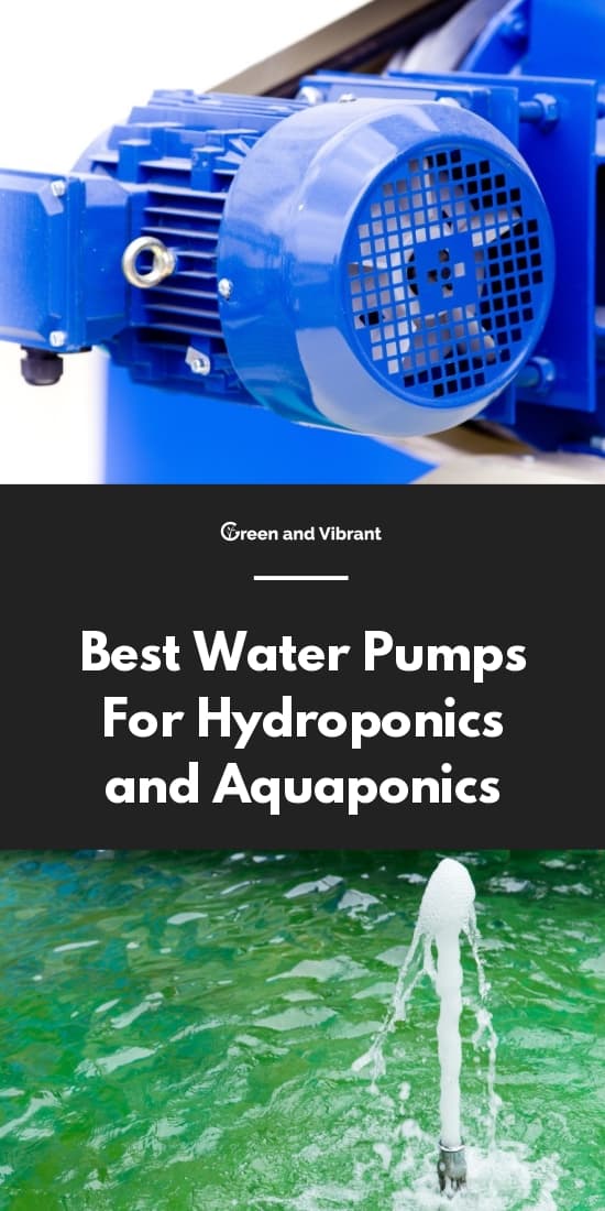 Best Water Pumps For Hydroponics and Aquaponics