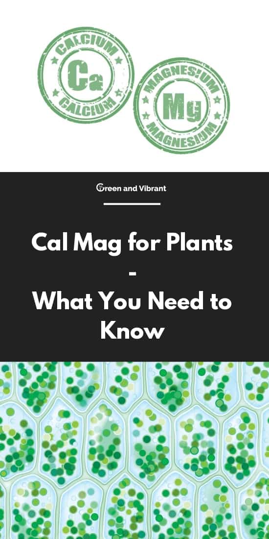 Cal Mag for Plants - What You Need to Know
