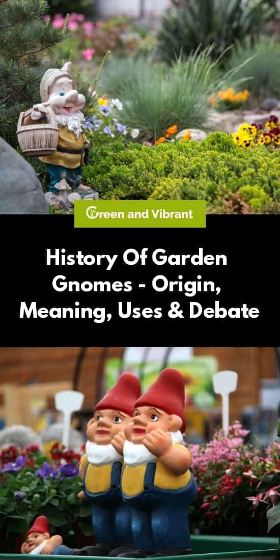 History Of Garden Gnomes - Origin, Meaning, Uses & Debate