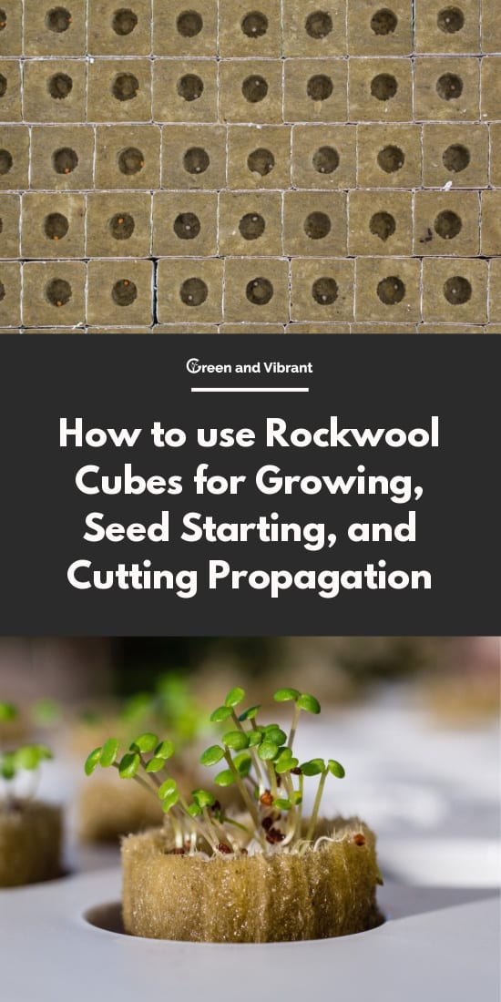 How to use Rockwool Cubes for Growing, Seed Starting, and Cutting Propagation