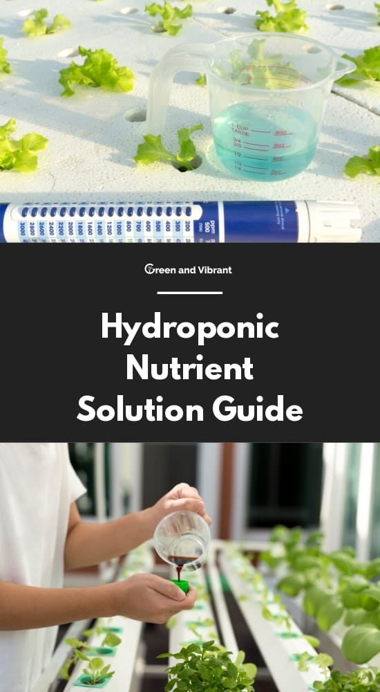 Hydroponic Nutrient Solution Guide