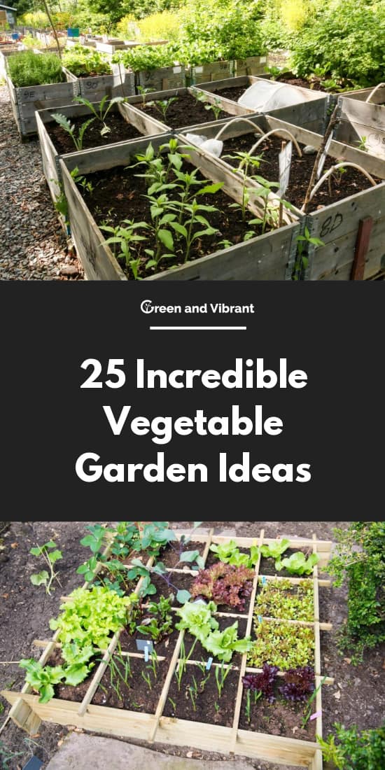 Incredible Vegetable Garden Ideas