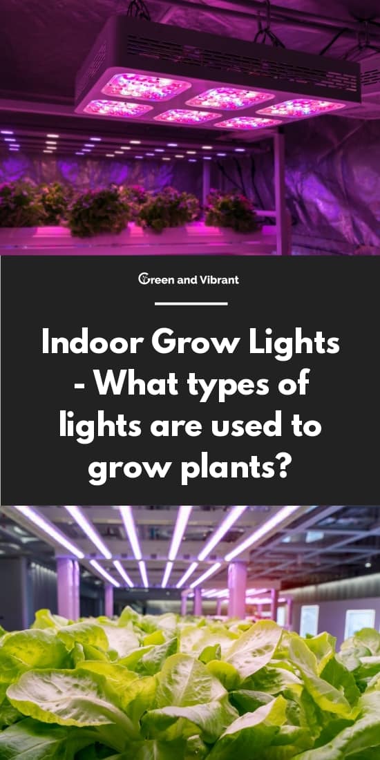 Indoor Grow Lights - What types of lights are used to grow plants?