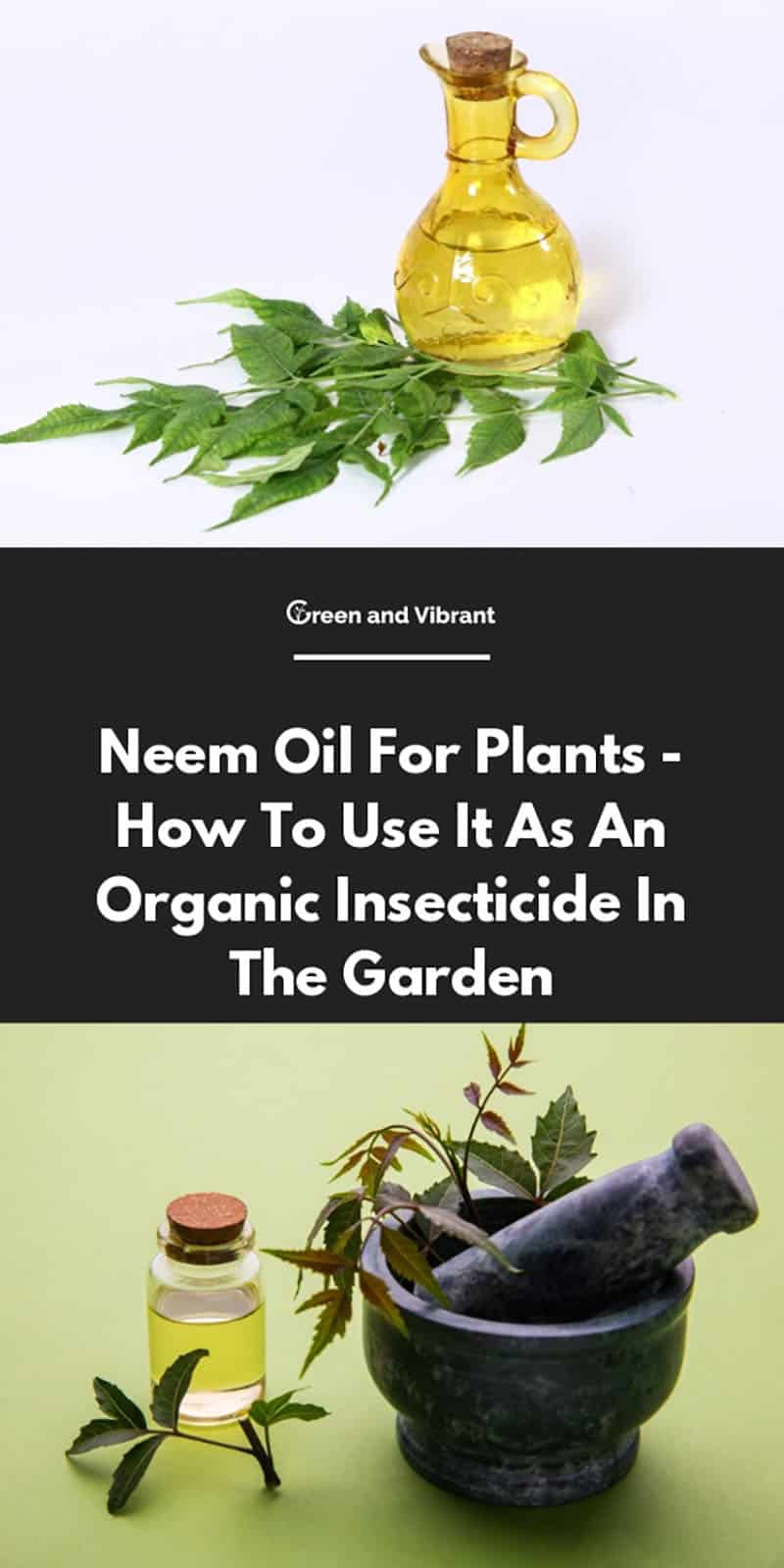 Neem Oil For Plants How To Use It As An Organic