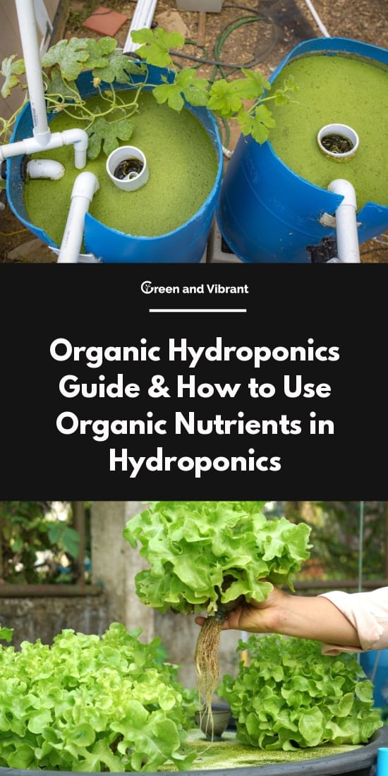Organic Hydroponics Guide & How to Use Organic Nutrients in Hydroponics