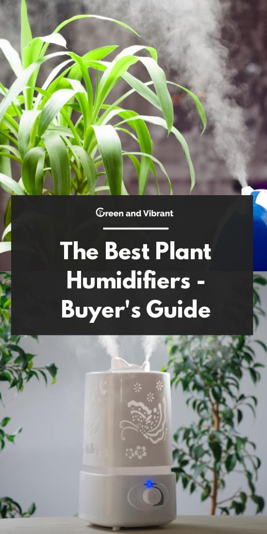 The Best Plant Humidifiers - Buyer's Guide