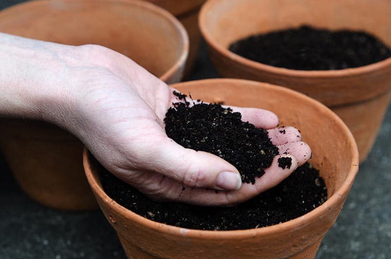 Soil Bag Container Gardening - California Grown