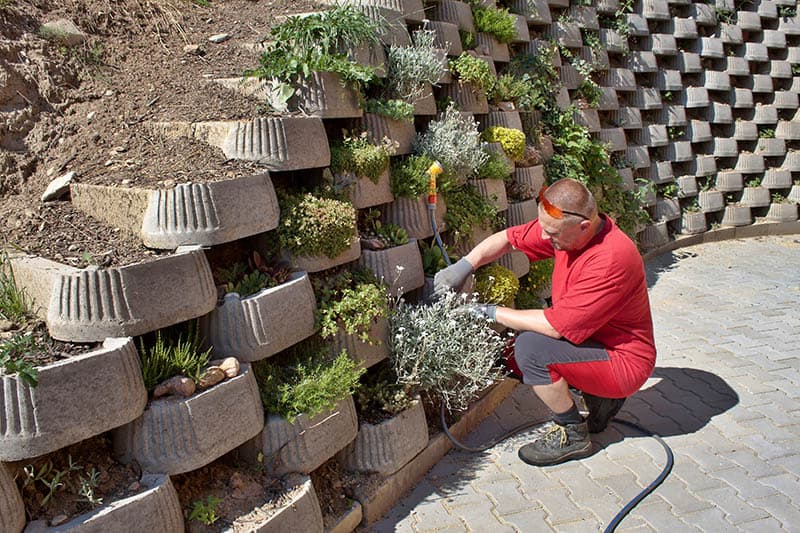 22 Practical and Pretty Retaining Wall Ideas | Trees.com