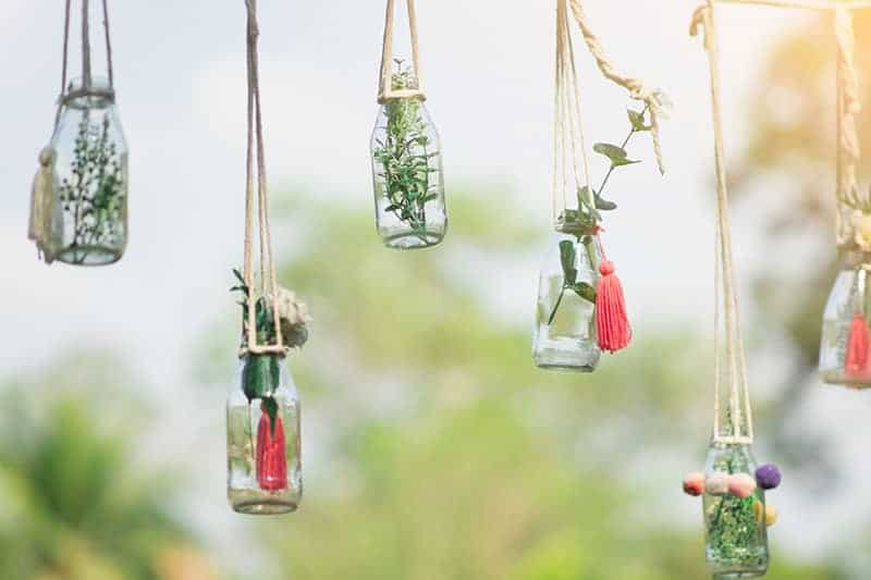 Hanging Bottles