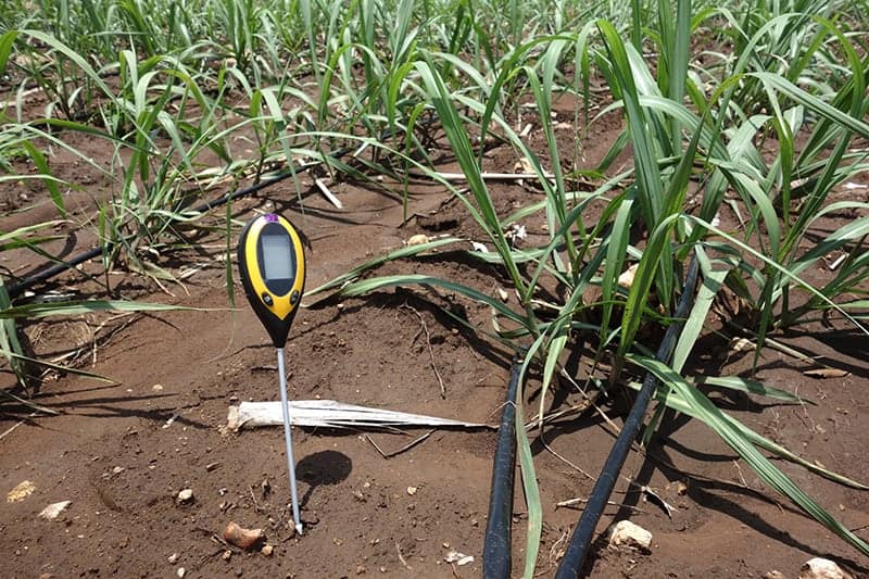 A Soil Moisture Meter Deep Into the Soil