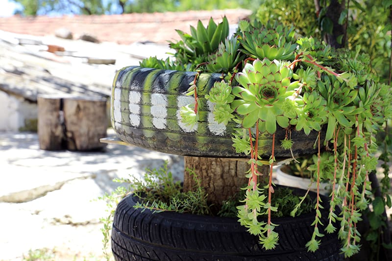 Camouflage Planters