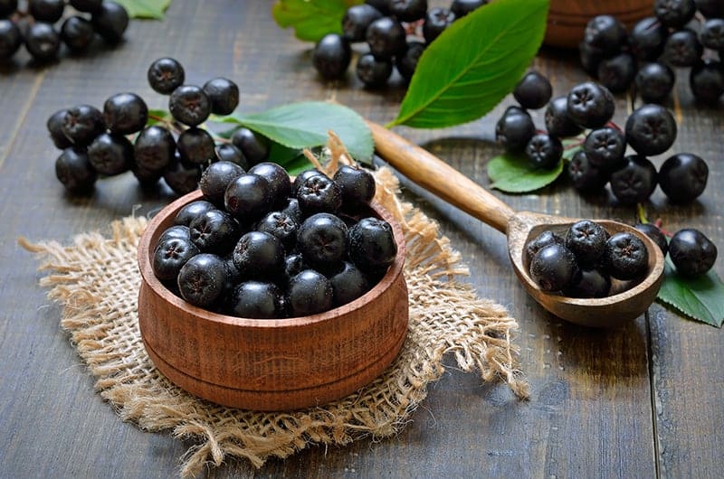 Chokeberry