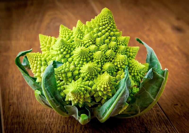 Romanesco Broccoli