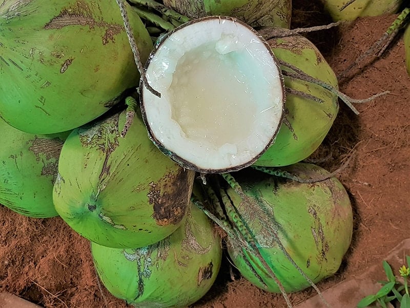 Macapuno Coconut
