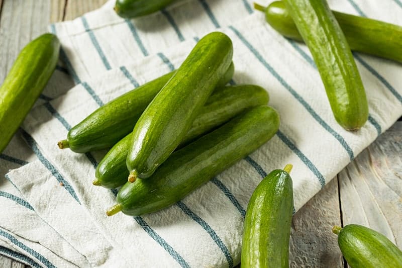 Green Fingers Persian Cucumbers