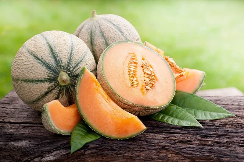 Cantaloupe - Cucumis melo var. Cantalupensis