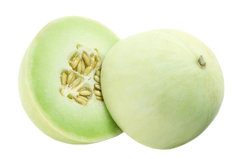Honeydew Melon - Cucumis melo var. inodorus - H.Jacq.