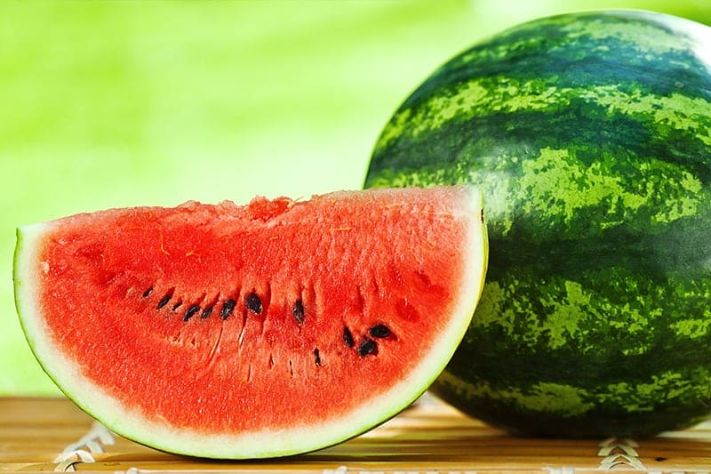 Watermelon - Citrullus lanatus