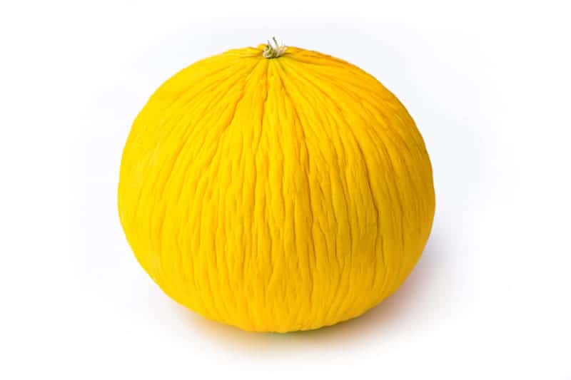 Casaba Melon - Cucumis melo var. Inodorus ‘Golden Casaba’