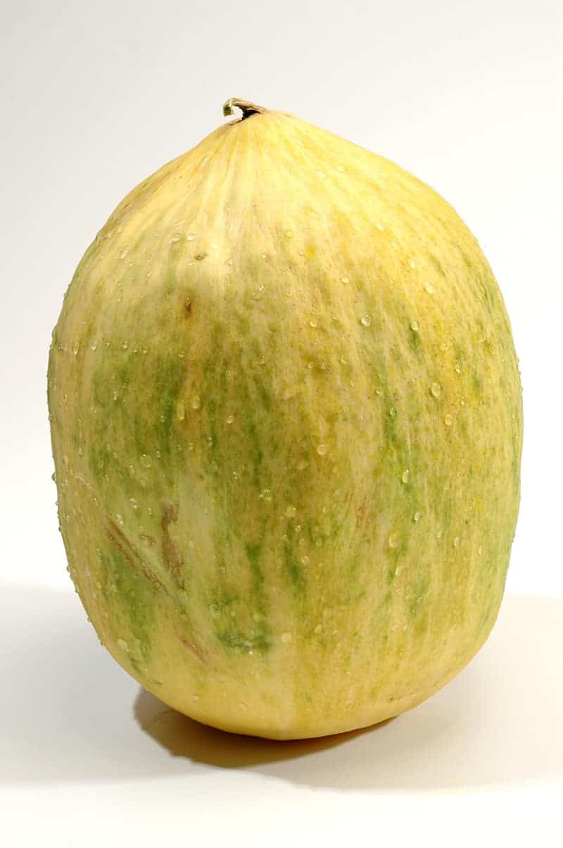 Crenshaw Melon - Cucumis melo var. Inodorus ‘Crenshaw’